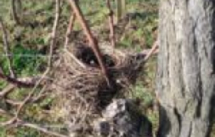 Visita y degustaciones de Domaine Cmin Larredya 1,00 €