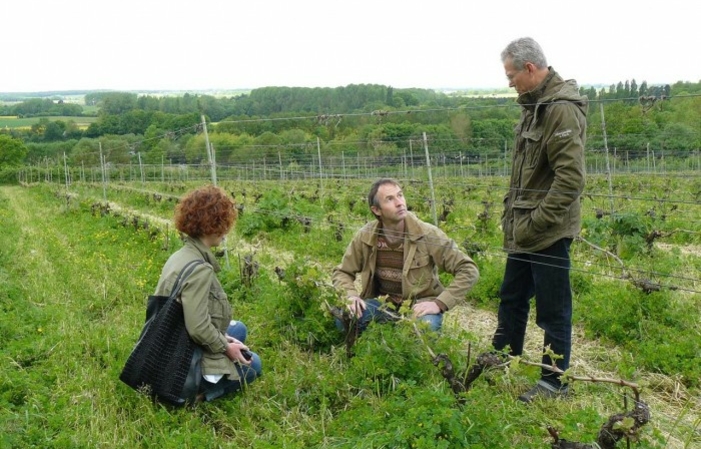 Excursión de un día al descubrimiento del vino loi 195,00 €