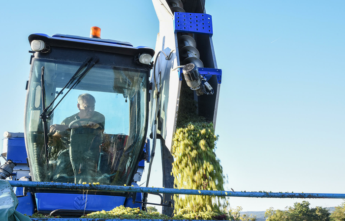 Visita a la finca Villargeau 1,00 €