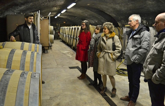 Visita y degustaciones en el Beaubourg Wine Tour 75,00 €