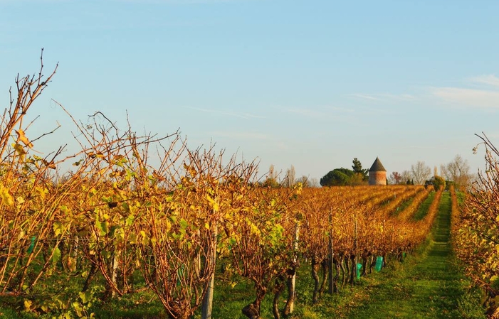 Visita y degustaciones del laballe DOmaine 1,00 €