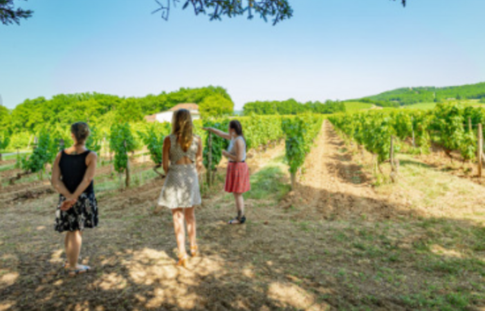 Tour de degustación clásica en Clos Triguedina 5,00 €