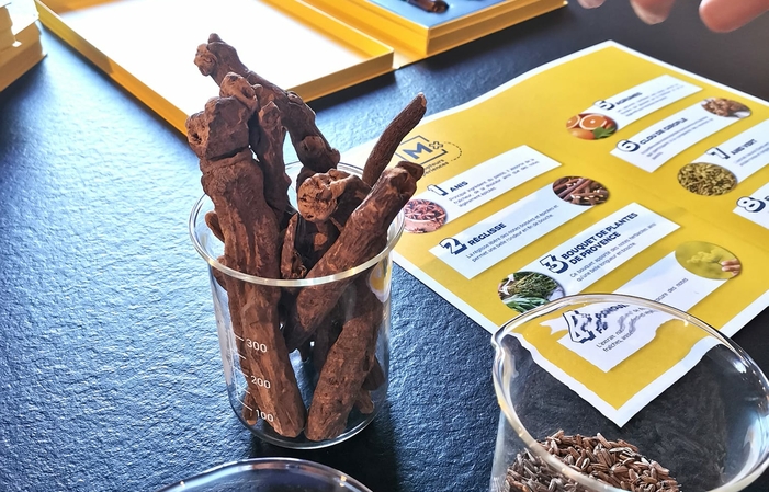 Visita y degustaciones en el Vasion de la Vid 70,00 €
