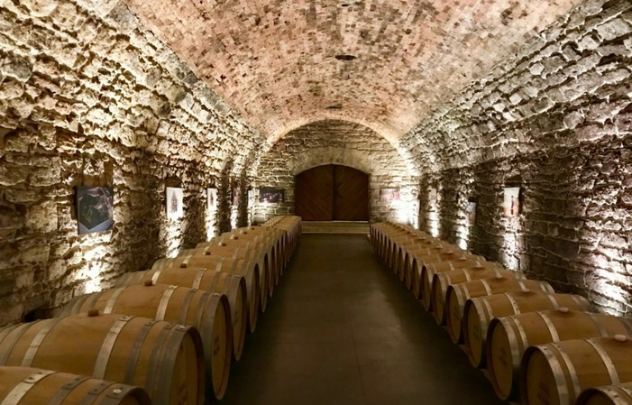 Visitar bodegas branesti y degustación 16,00 €