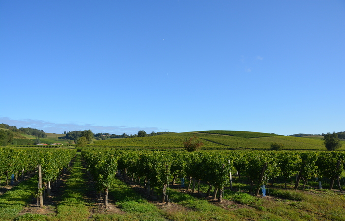 Visita y degustación en Domaine Sarrabelle 1,00 €