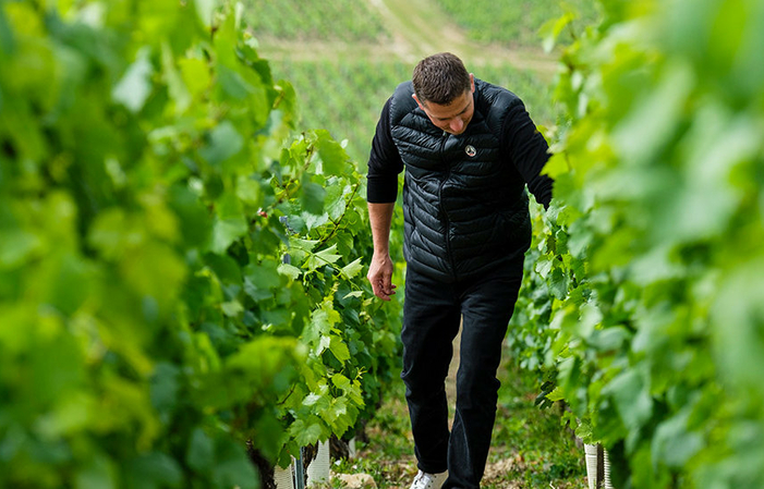 Visita y degustación en Domaine Jean-Claude Martin 1,00 €