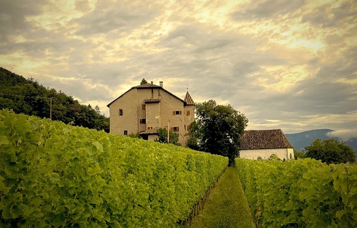 Visita a Kellerei Estate St. Michael Eppan - Cantina Produttori San Michele Appiano 1,00 €