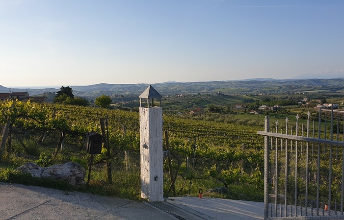 Visita y degustación en Stefania Pepe.. Vini Bio & Dinamici Azienda Agricola 1,00 €