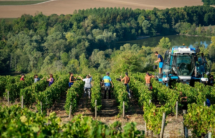 Visita y degustación en Domaine Verret 1,00 €