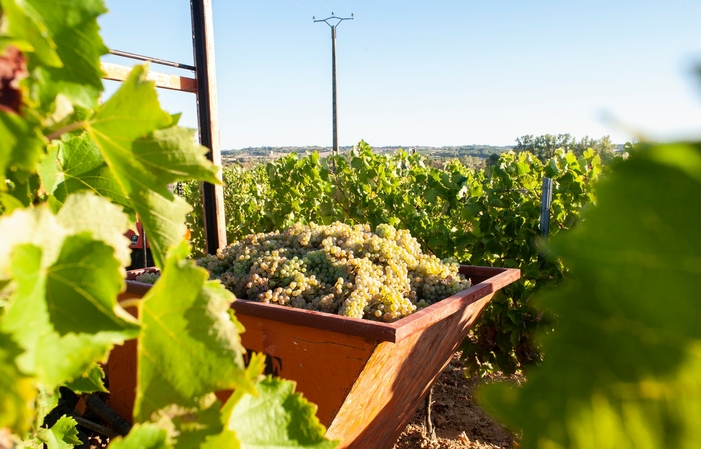 Visita y degustación de Les Vignals 1,00 €