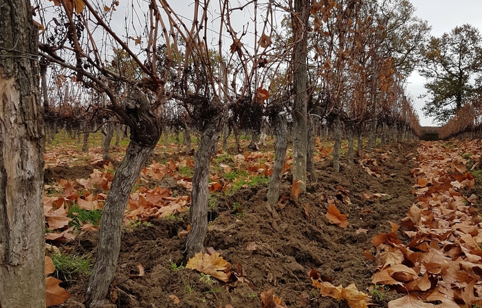 Visita y degustación en Les Dames de La Renardière 1,00 €