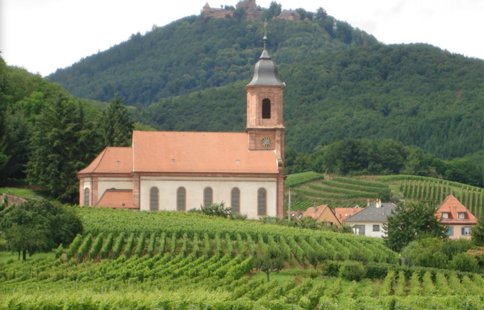 Visita y degustación en Domaine Bléger 1,00 €