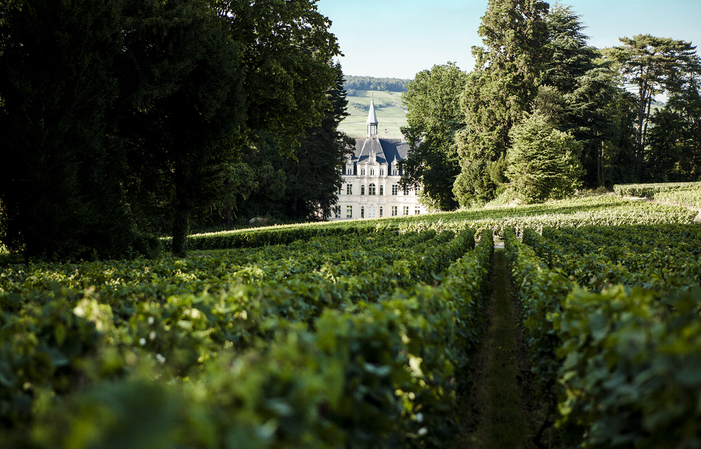 Visita el know-how y la degustación en el Château de Boursault 30,00 €