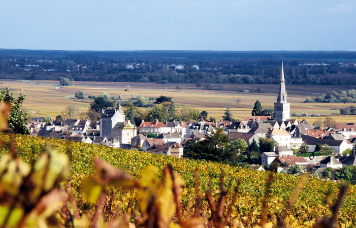 TOUR PRIVADO Costa de Beaune 358,00 €