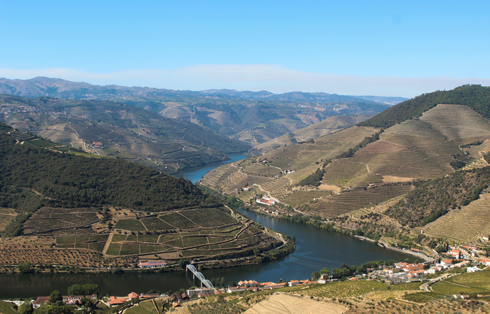 Duero: Tour de Vino y Tradición desde Oporto 100,00 €