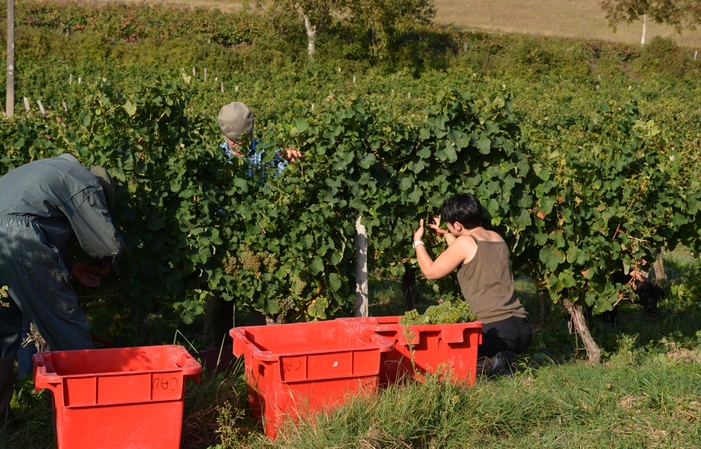 Visita y degustación en Domaine Sarrabelle 1,00 €