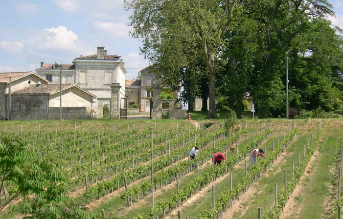 Visita y degustación en Château Macay 1,00 €