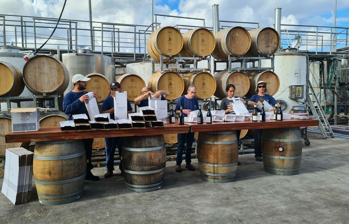 Visita a la Bodega Tulip 13,00 €