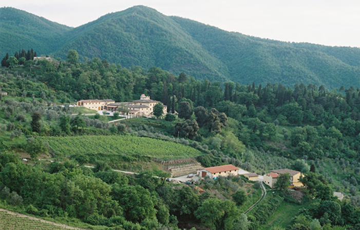 Descubrimiento de la bodega - Oil Mill - Chianti C 60,00 €