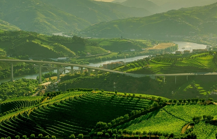 Visita y degustación de Oporto en la Quinta do Val 60,00 €