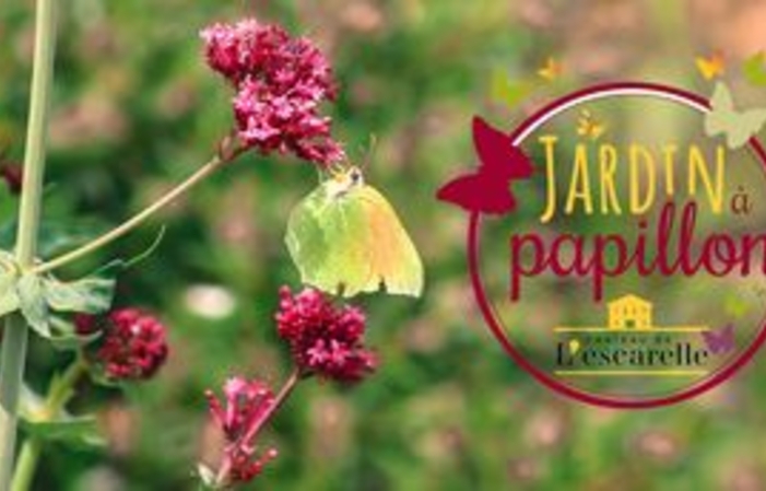 Visita y degustación en el Château De L'escarelle 10,00 €