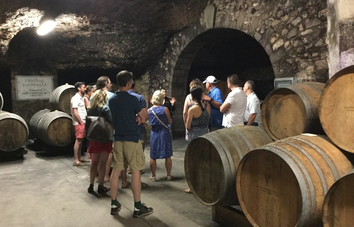 Excursión de un día al descubrimiento del vino loi 195,00 €