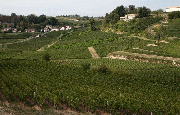 Visita y degustación de Chateau de Pressac, Saint Emilion Grand Cru Classé 18,00 €