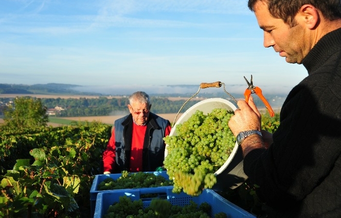 Visita y almuerzo en Domaine Champagne Paul Leredde 27,00 €