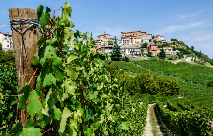 Visita y degustación en Domaine Roberto Voerzio 1,00 €