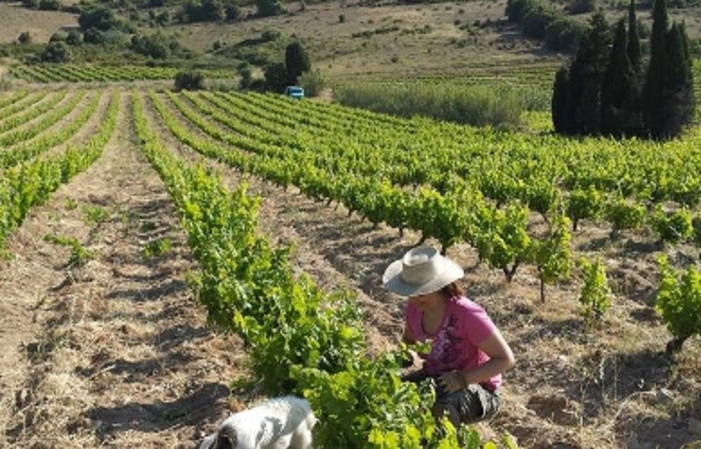 Visita y degustación en Domaine Rousselin 1,00 €