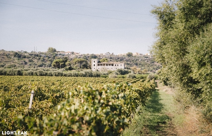 Visita a la Finca Azienda Agricola Pupillo 1,00 €