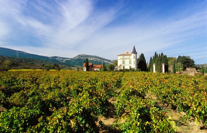 Visita y degustación en Château La Baronne 1,00 €