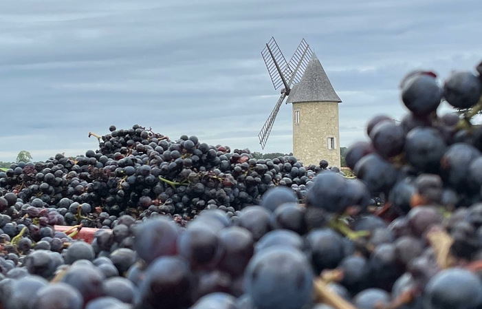 Visita clásica al Château Arnauld 10,00 €