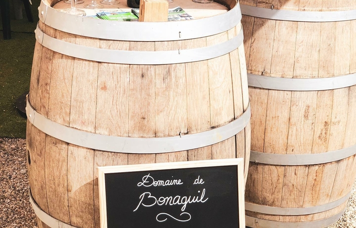 Visita a la degustación del Domaine de Bonaguil 1,00 €
