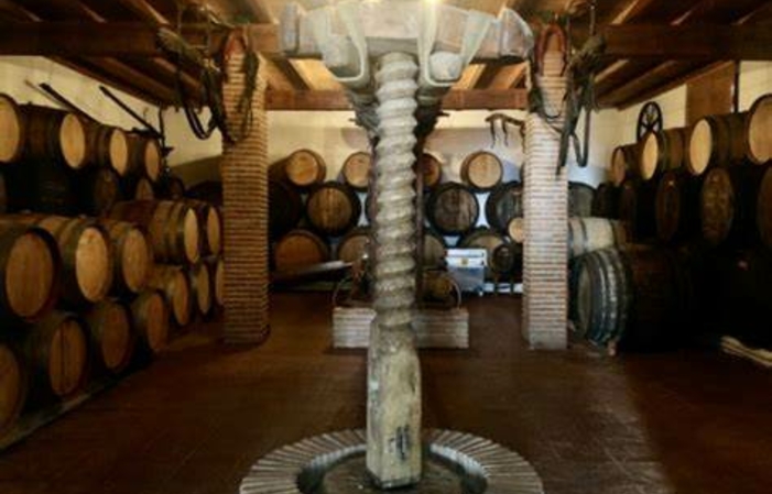 Visitar vinedos verticales 5,00 €