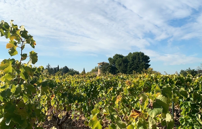 Visita y degustación en la bodega Château Mont-Redon 1,00 €