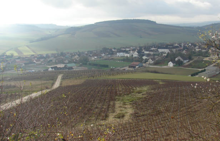 Visita y degustación en Domaine Sorin DeFrance 1,00 €