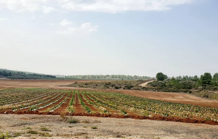 Visita de la finca vinícola Karma 1,00 €