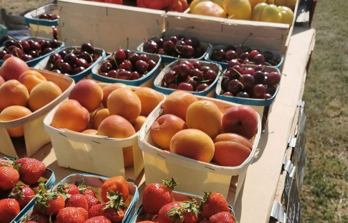 Visita y degustaciones del Domaine Des Favards 1,00 €