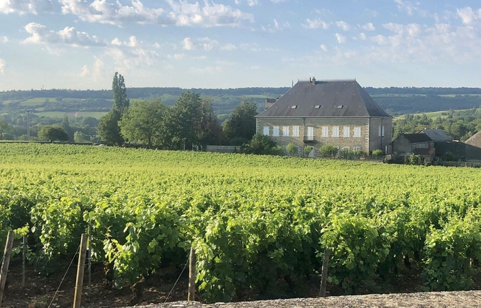 Visita y degustación de Domaine Fleurot Larose 1,00 €