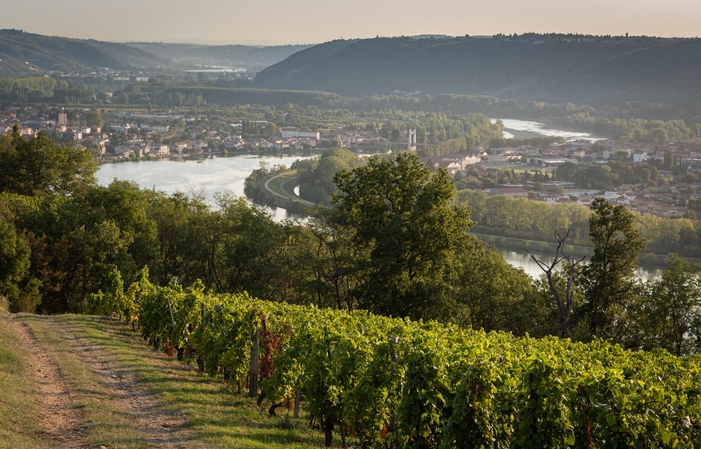 Visita y degustación en el Domaine du Monteillet 1,00 €