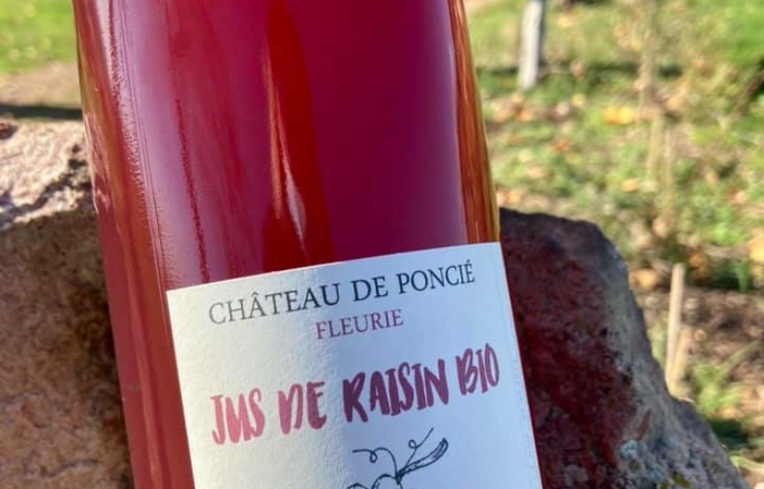 Visita y degustaciones en el Château de Poncié 49,00 €