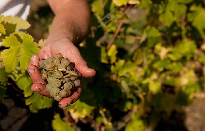 Visita la finca de Loéc Mahé 8,00 €