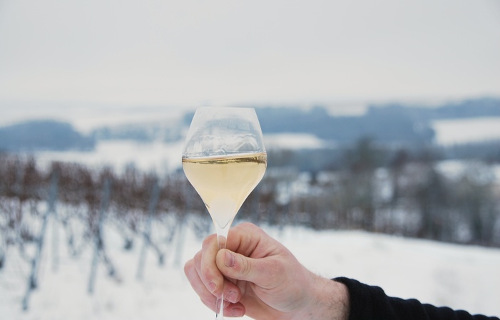 A través de las burbujas, Champagne Charton Guilla 10,00 €