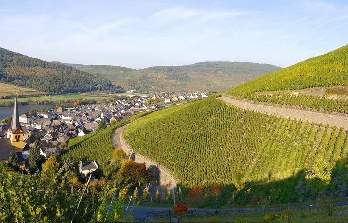 Visitar Selbach-Oster Mosel 7,00 €