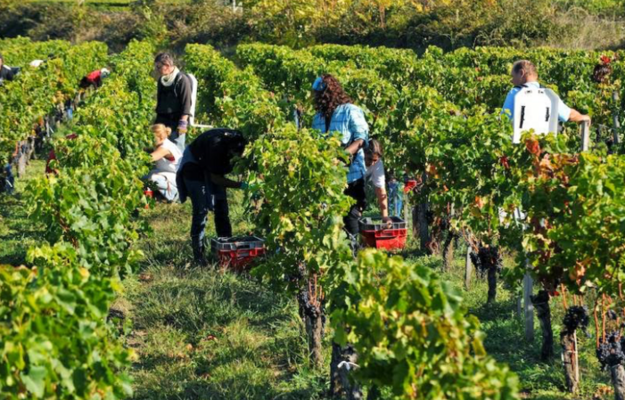 Visita y degustación en Château Mazeyres 10,00 €