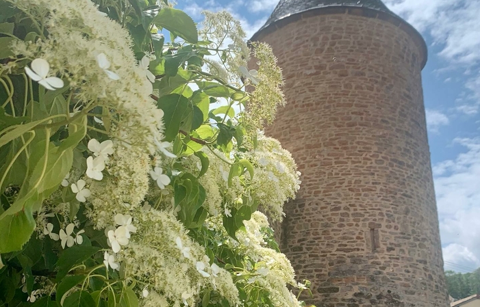 Visita y degustaciones en el Château de Chasselas 35,00 €