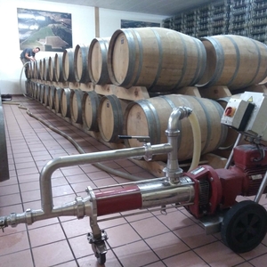 imagen del vino