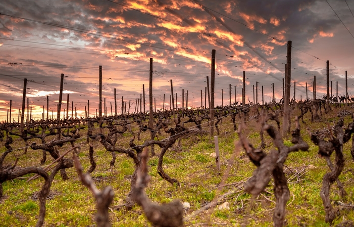 Sélection de vins Domaine Clusel-Roch Gratuit