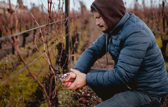 Sélection de Bordeaux : Château Gombaude-Guillot Pomerol Vins Gratuit